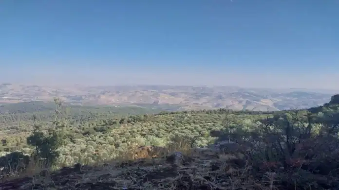 Implementation of the Jerash Tourism City project has begun, at a cost of 7 million dinars and providing 200 job opportunities.