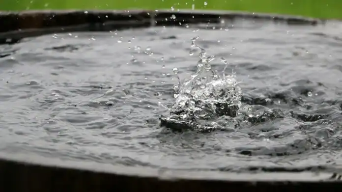 الزراعة: إنشاء 757 بئراً وبركة لجمع مياه الأمطار في النصف الأول من 2025