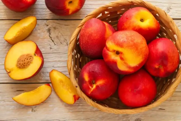 الأردن يتصدر الدول العربية في تصدير فاكهة النكتارين لعام 2023