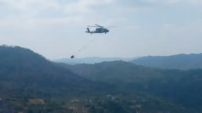 الدفاع المدني الأردني ينجح في إخماد حرائق الغابات ضمن مناطقه في سورية