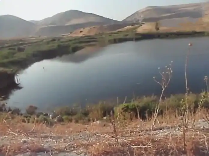 دعوة عاجلة لإنقاذ الحياة البرية في بركة العرايس بإربد