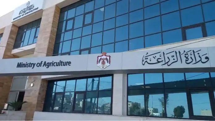 الزراعة: صرف دعم لفائض إنتاج البندورة وتحديد قيمته خلال أيام