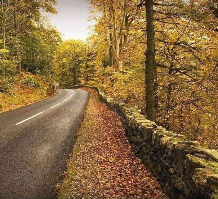 الأرصاد: يومان على نهاية الصيف وأيلول يبدأ بحرارة معتدلة