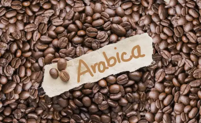 ارتفاع سعر بن أرابيكا عالمياً بعد الرسوم الأميركية على الواردات البرازيلية