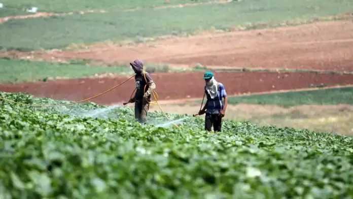وادي الأردن.. مزارعون عاجزون عن تجهيز أراضيهم للموسم المقبل