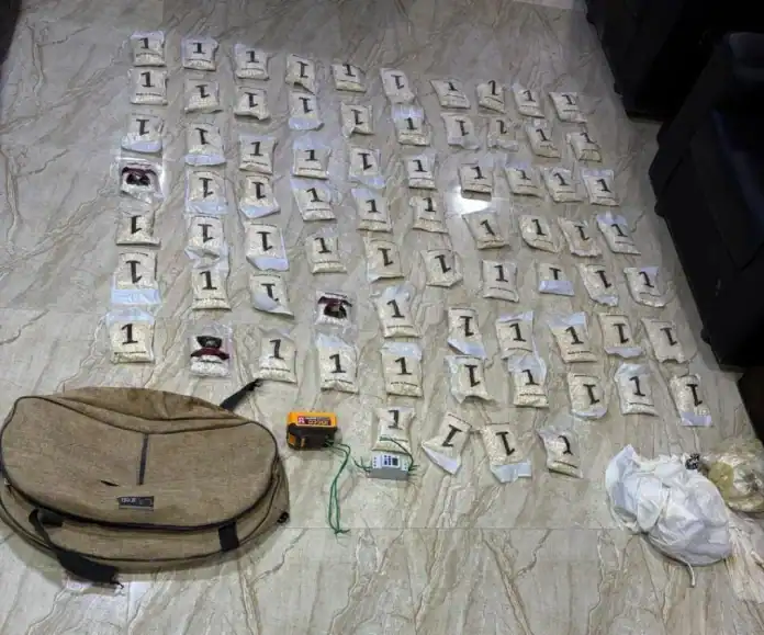 الجيش الأردني يحبط تهريب مخدرات عبر بالونات موجهة