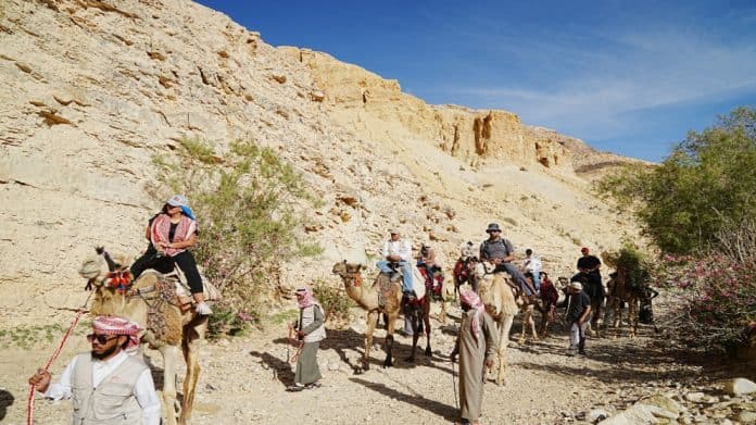 ازدهار سياحي في البترا: 81 ألف زائر في أكتوبر بارتفاع 71% عن العام الماضي