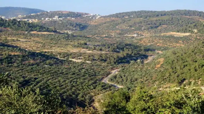 الزراعة الأردنية