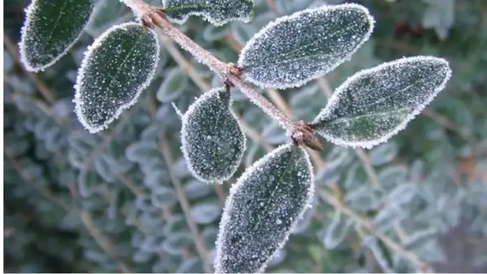 تحذيرات مستمرة من الانجماد والضباب