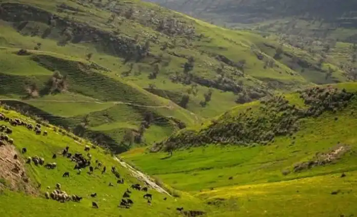 بداية فصل الربيع فلكياً في الأردن يوم 20 آذار