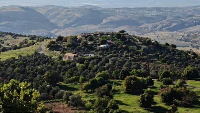 النشرة الجوية الشاملة في المملكة لأربعة أيام متتالية