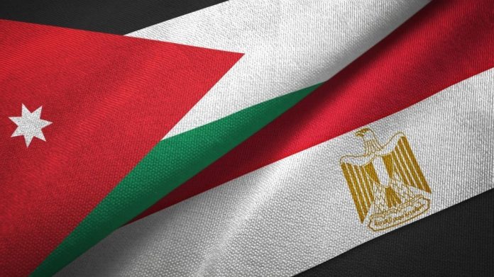 وزير خارجية مصر: تنسيق مصري أردني لعقد مؤتمر دولي لإغاثة غزة وإعادة إعمارها