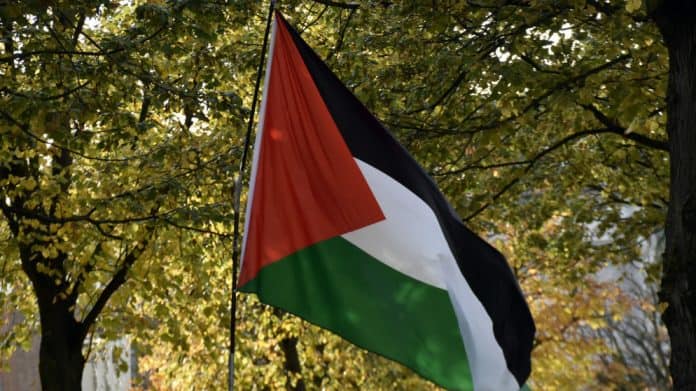 مجلس الجامعة العربية يجدد دعمه لعضوية فلسطين الكاملة في الأمم المتحدة