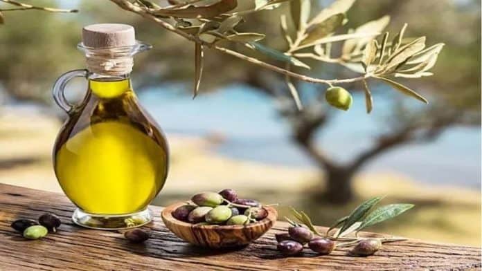 إحصاءات: إنتاج زيت الزيتون ينخفض بنسبة 44.2% عن المعدل الموسمي