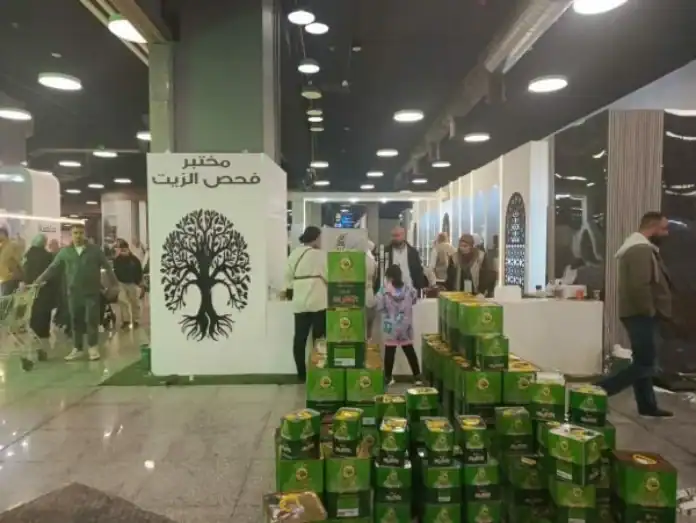 أرقام قياسية في الأردن.. مهرجان الزيتون يستقبل 196 ألف زائر وكميات ضخمة من الزيت