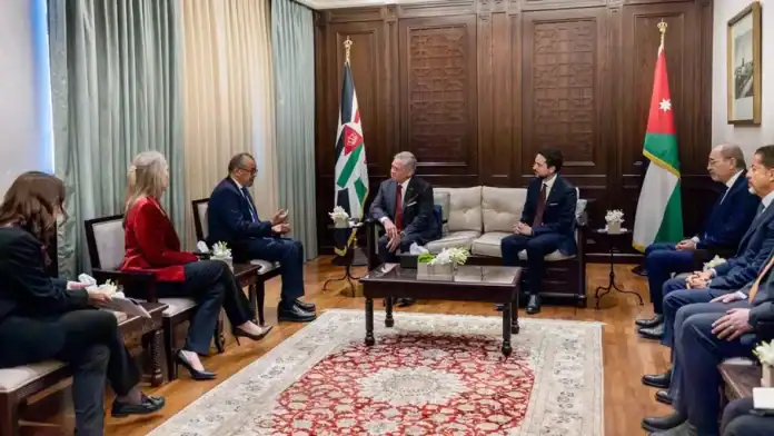 لقاء ملكي لبحث الأولويات الصحية الوطنية والإقليمية