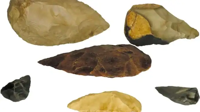 اكتشاف أثري مذهل: أقدم استيطان بشري في الأردن يعود لـ 2.5 مليون سنة